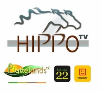 De BWP Hengstenkeuring in het journaal van HippoTV!