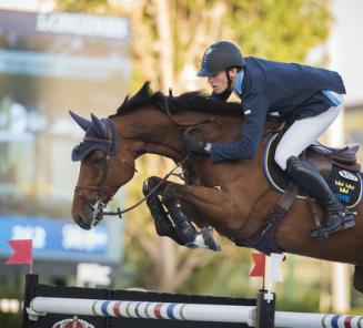 Cantinero (Chopin de Mariposa) wint GP Rome!