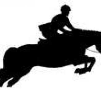 WK: Koen Vereecke wins 1st qualifier seven-year-olds with Woutland Imagine (Imagine Of The Hermitage) WK: Koen Vereecke wins 1st qualifier seven-year-olds with Woutland Imagine (Imagine Of The Hermitage)