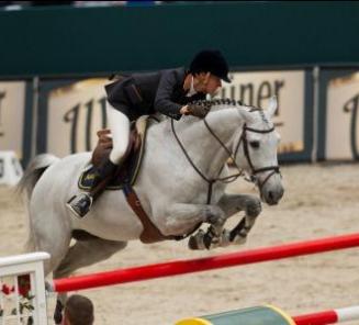 GCT finale: goede start voor Guess ter Wilgen, Winningmood vd Arenberg en Giovanni vh Scheefkasteel