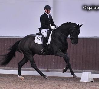 Verslag Corsendonk Dressage Cup 2015: BWP-dressuur elitewaardig?