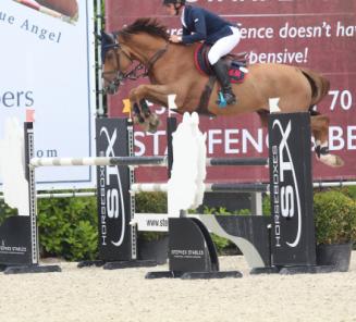 Ikker wint de finale voor jonge paarden Ikker wint de finale voor jonge paarden