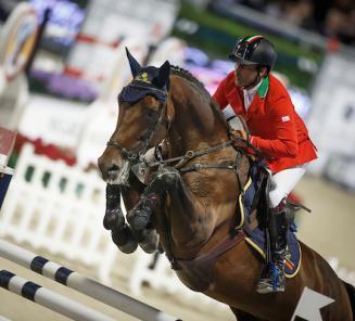 Garcia & Belgian Warmblood Elite Stallion Gitano Win 1.50 in Hickstead