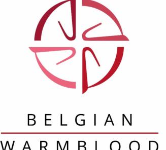 Belgian Warmbloods at World Championships for Young Horses