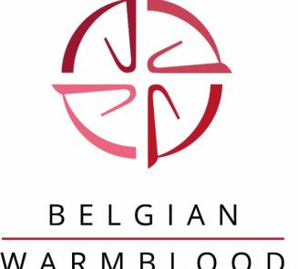 Belgian Warmbloods at World Championships for Young Horses Belgian Warmbloods at World Championships for Young Horses