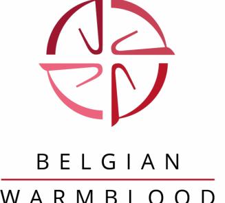 Belgian Warmblood third in the final jumping ranking