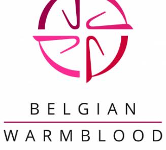 3 BWPêers aan kop vrijspringen Mechelen 3 BWPêers aan kop vrijspringen Mechelen