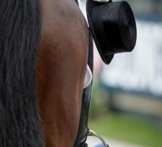 Dressuur: Wilcox & Galant openen Wellington met overwinning Dressuur: Wilcox & Galant openen Wellington met overwinning