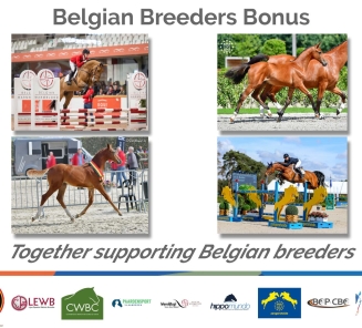 Belgian Breeders Bonus
