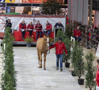 BWP Hengstenkeuring 2023