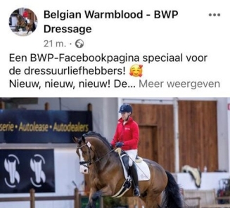 facebook insta dressuur