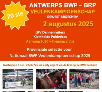antwerps veulenkampioenschap