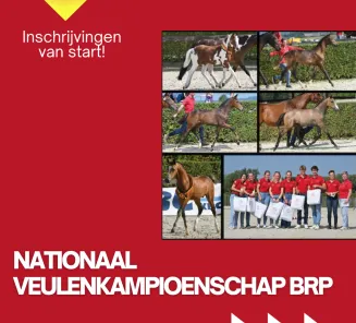 INSCHRIJVEN VEULENKAMPIOENSCHAP BRP