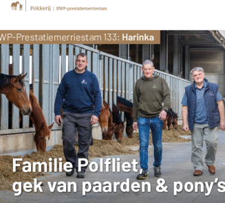 polfliet stam 133