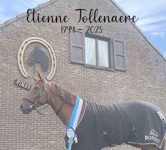 etienne tollenaere