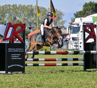 wablief de weikes  nationaal ponytornooi