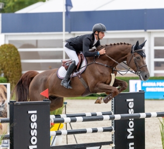 Pommery van het IJzeren Lindehof & Dries Dekkers