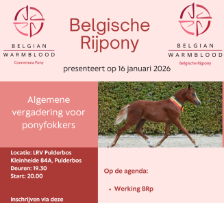 Algemene Vergadering BRp 2026