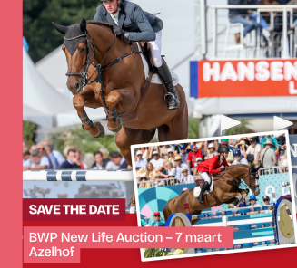 save the date New Life Auction