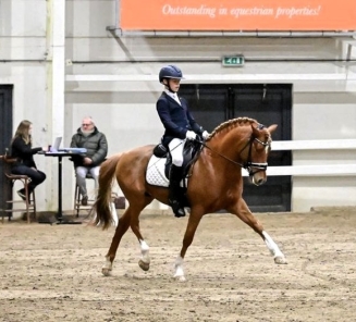 cupido vd lufkenshoeve naud timmermans
