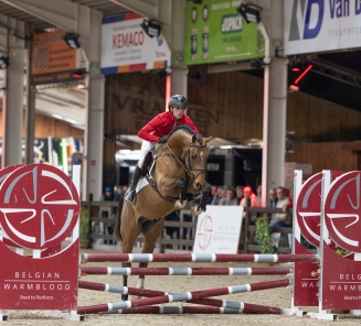 Derde fase hengstenkeuring 2026