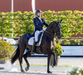 Sam Verheyden en Kryptonite