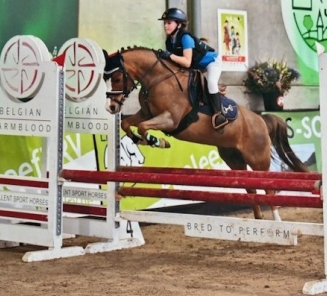 Pony met P-label: Morning Whisper