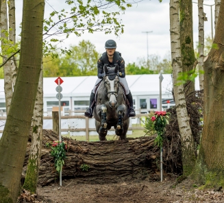 tintoe achterhoek Simons 