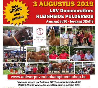 Schrijf nu in voor het Antwerps Veulen Kampioenschap Schrijf nu in voor het Antwerps Veulen Kampioenschap