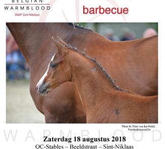 Startlijst prijskamp en veulenkampioenschap BWP Sint-Niklaas online Startlijst prijskamp en veulenkampioenschap BWP Sint-Niklaas online