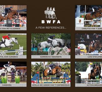 BWFA en BWP in Waregem: Topsport als doel BWFA en BWP in Waregem: Topsport als doel