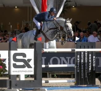 El Torreo de Muze (BWP Elite Stallion) wins World Cup leg in Morroco El Torreo de Muze (BWP Elite Stallion) wins World Cup leg in Morroco