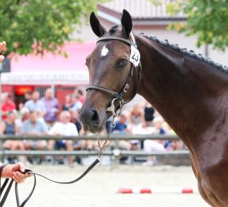 BWP tweede op tussentijdse wereldrankings BWP tweede op tussentijdse wereldrankings