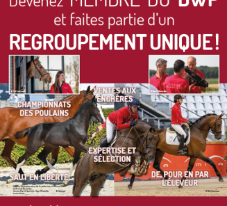 Devenez membre du BWP en 2021! Devenez membre du BWP en 2021!