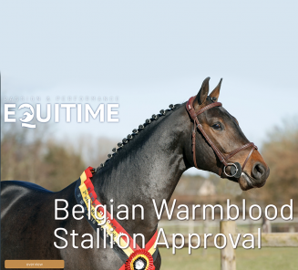 Stallion reports in special edition of EquiTime Stallion reports in special edition of EquiTime