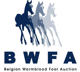 Romana-K van 't Kattenheye veilingtopper BWFA Romana-K van 't Kattenheye veilingtopper BWFA