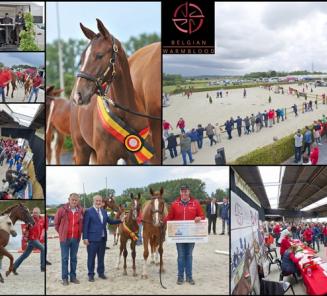 Championnat National des Poulains: inscription libre Championnat National des Poulains: inscription libre