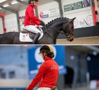 Le BWP annonce une nouvelle vente aux enchères de chevaux et de poneys d'obstacle et de dressage de 4 ans! Le BWP annonce une nouvelle vente aux enchères de chevaux et de poneys d'obstacle et de dressage de 4 ans!