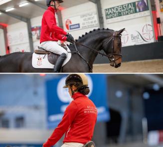 Le BWP annonce une nouvelle vente aux enchères de chevaux et de poneys d'obstacle et de dressage de 4 ans!