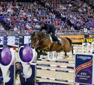 Shanghai: Outstanding Belgian Warmbloods Shanghai: Outstanding Belgian Warmbloods