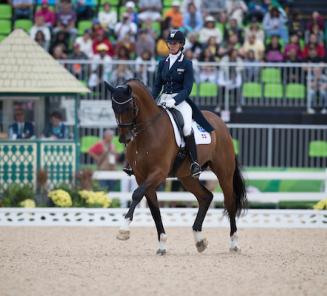 Dressage : Foco-Loco W brilliant in CDI Wellington Dressage : Foco-Loco W brilliant in CDI Wellington
