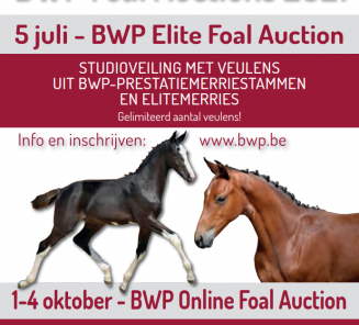 Le BWP organise 2 ventes aux enchères de poulains cette année! Le BWP organise 2 ventes aux enchères de poulains cette année!