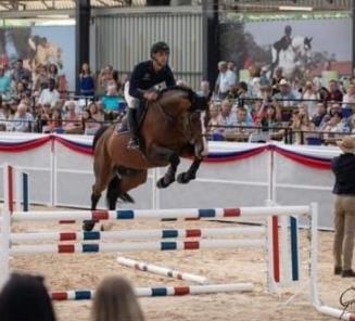 Obama van het Keizershof topper op Capital Stud veiling in Zuid-Afrika Obama van het Keizershof topper op Capital Stud veiling in Zuid-Afrika