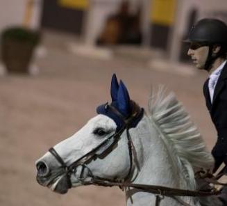 Pieter Devos wins Equita Masters on Gin D Pieter Devos wins Equita Masters on Gin D