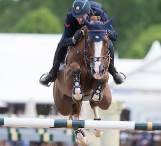 BWP number 1 in the new rankings with 18 horses in the top 100 BWP number 1 in the new rankings with 18 horses in the top 100