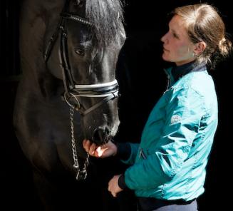Fanny Verliefden wint CDI Saumur met Indoctro vd Steenblok Fanny Verliefden wint CDI Saumur met Indoctro vd Steenblok
