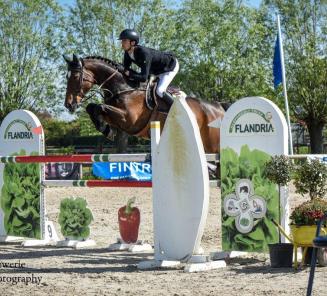 Lier: Jeroen De Winter pakt winst met BWP-elitemerrie Jota vh Leliehof Lier: Jeroen De Winter pakt winst met BWP-elitemerrie Jota vh Leliehof