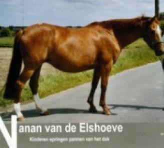 Merrie van het jaar: Nanan Van De Elshoeve Merrie van het jaar: Nanan Van De Elshoeve