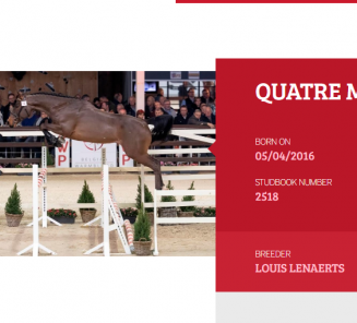 English reports of the 2019 approved stallions are online English reports of the 2019 approved stallions are online