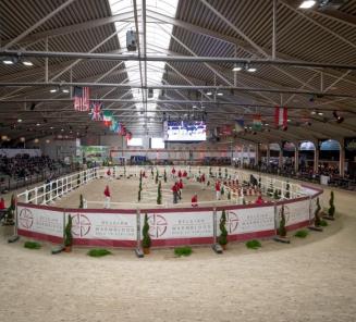 BWP Hengstenkeuring achter gesloten deuren